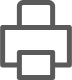 print icon